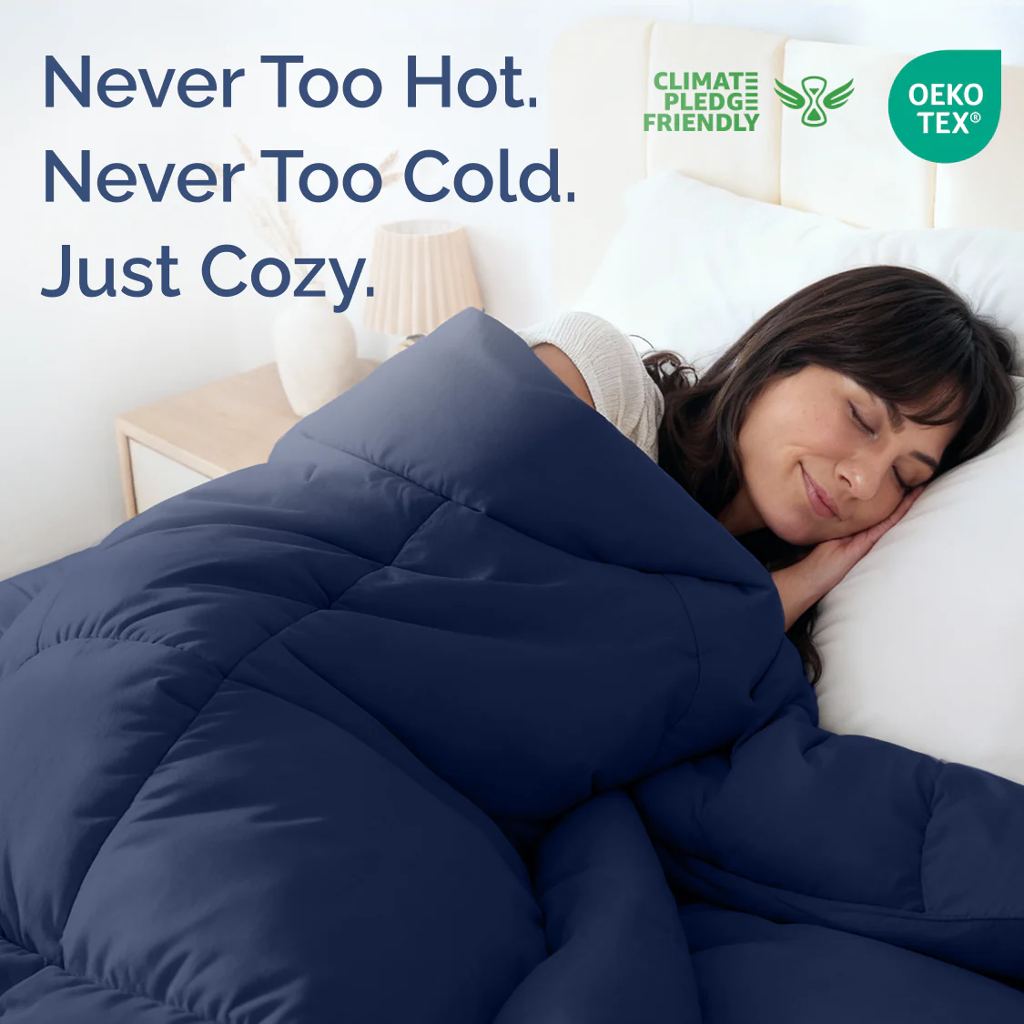 Premium Down Alternative Comforter - Image 103